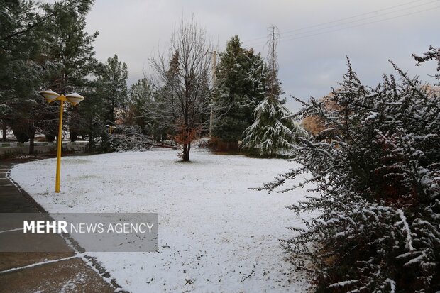 روز برفی دانشگاه لرستان