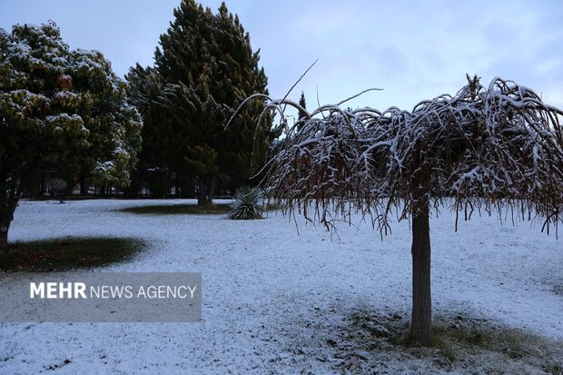 روز برفی دانشگاه لرستان