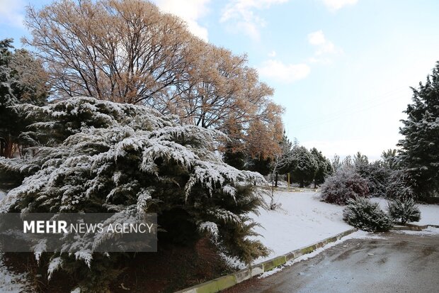 روز برفی دانشگاه لرستان