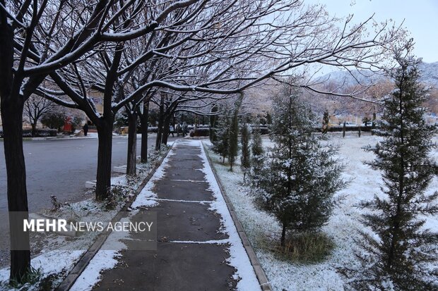 روز برفی دانشگاه لرستان