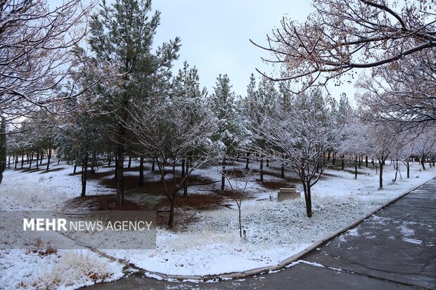 روز برفی دانشگاه لرستان
