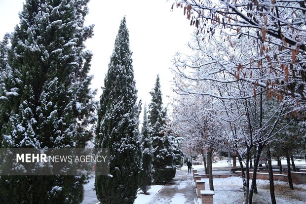 روز برفی دانشگاه لرستان