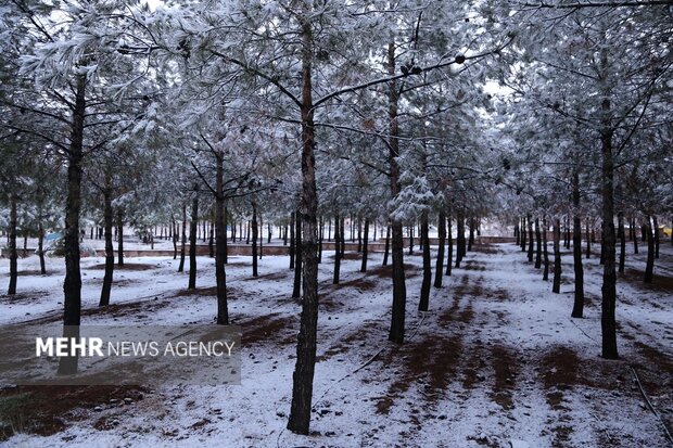 روز برفی دانشگاه لرستان