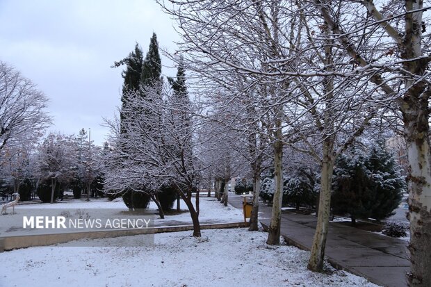 روز برفی دانشگاه لرستان