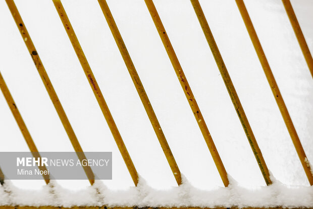 بارش برف در تبریز