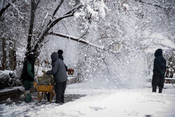 میانگین بارندگی خراسان رضوی ۱۳۰.۵ درصد افزایش یافته است