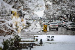 بارش برف و یخبندان خراسان رضوی را فرا گرفته است