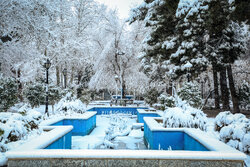 تصاویری از بارش برف در دماوند