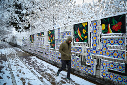 Snow blankets Mashhad