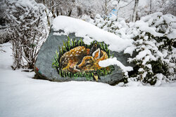 بارش برف در مشهد