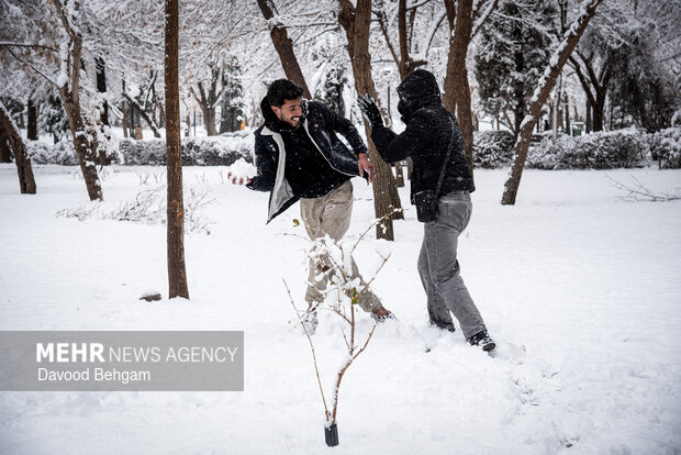 بارش برف در مشهد