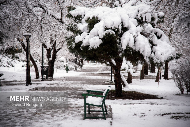 بارش برف در مشهد