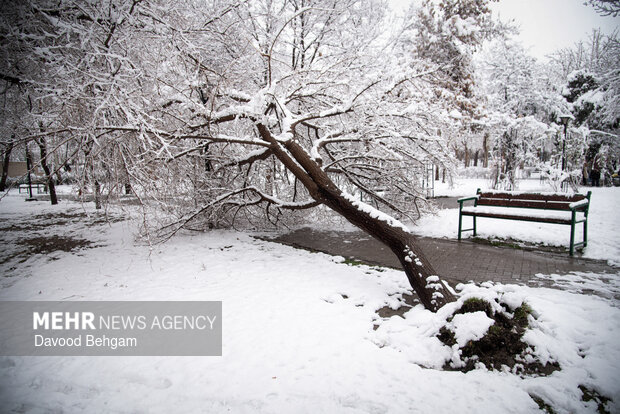 بارش برف در مشهد