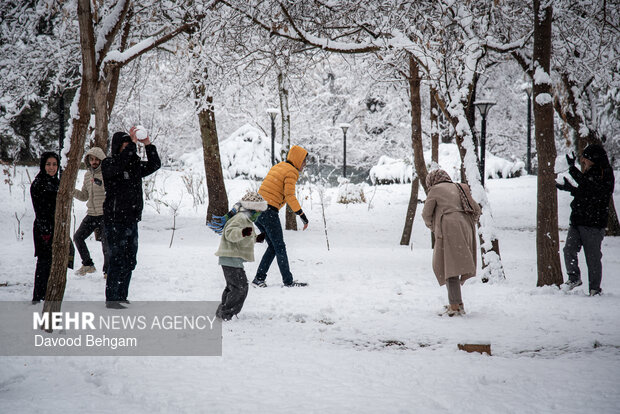 بارش برف در مشهد