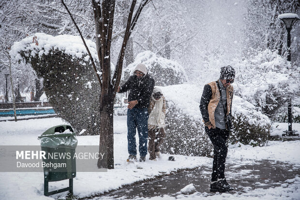 بارش برف در مشهد