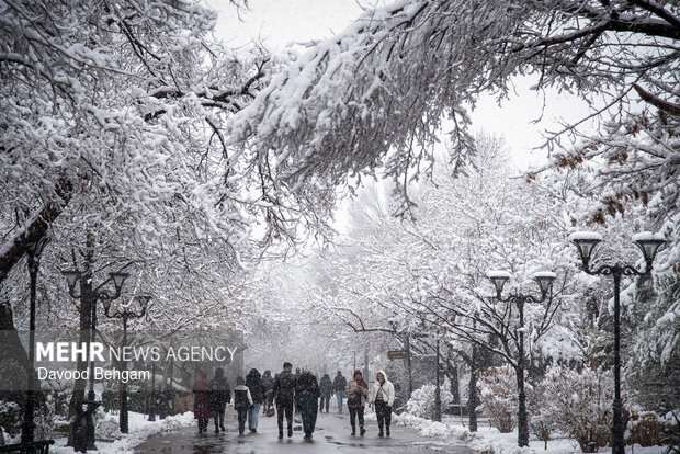 بارش برف در مشهد