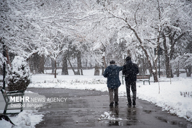 بارش برف در مشهد