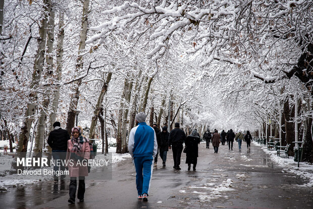 بارش برف در مشهد