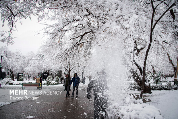 بارش برف در مشهد