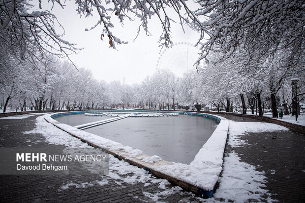 بارش برف در مشهد