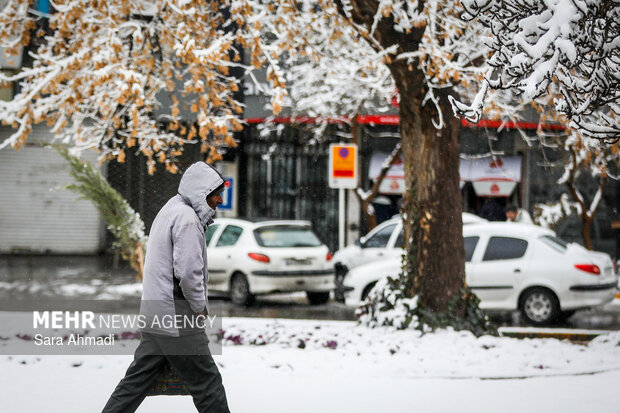 بارش برف در مشهد