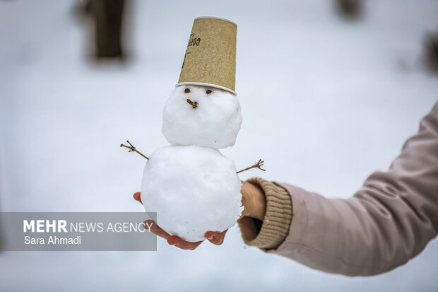 بارش برف در مشهد