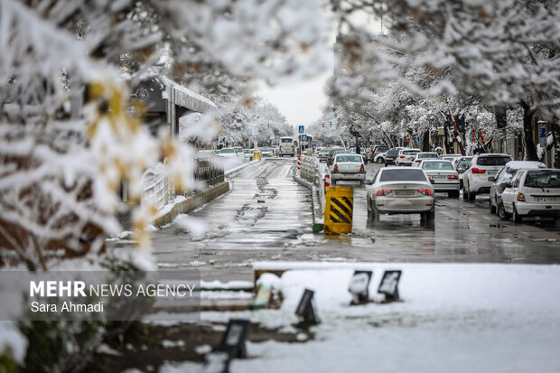 محمدپور: بارندگی ها در مهاباد ۷۵ درصد افزایش یافت محمدپور: بارندگی ها در مهاباد ۷۵ درصد افزایش یافت