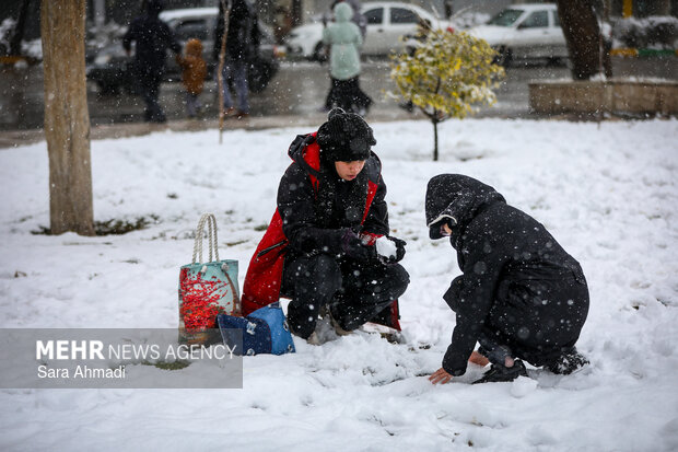 بارش برف در مشهد