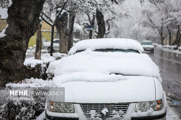 بارش برف در مشهد