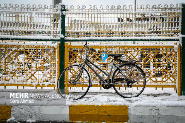 بارش برف در مشهد