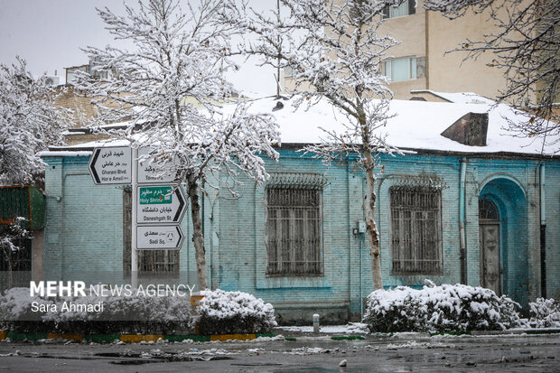 بارش برف در مشهد