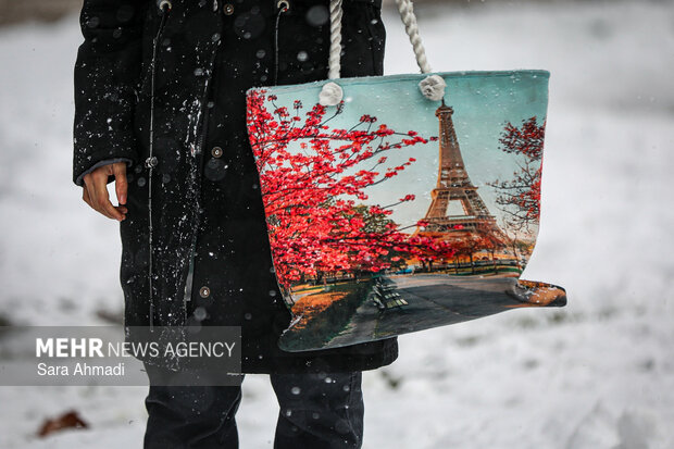 بارش برف در مشهد