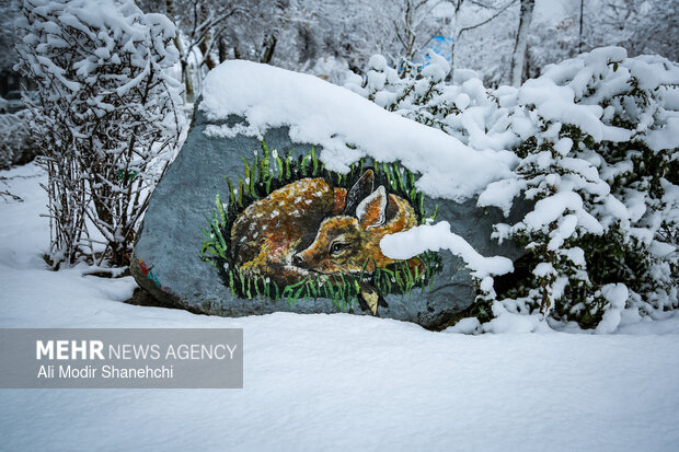 Snow blankets Mashhad