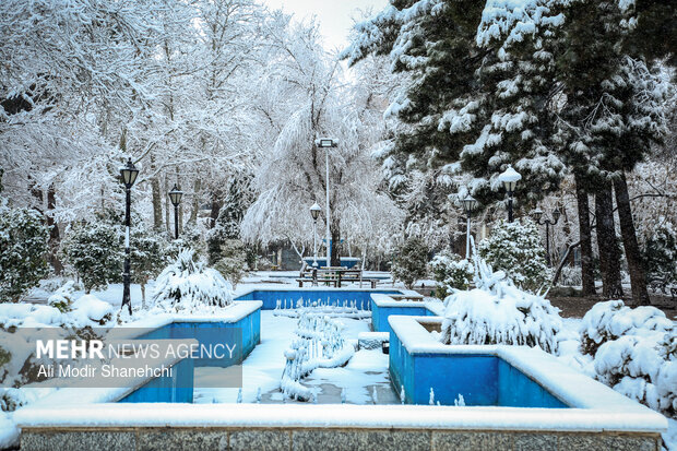 مدارس ابتدایی مشهد فردا یکشنبه ۲۸ دی ماه غیرحضوری شد 