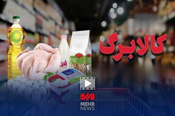 جزئیات شیوه دوم ارائه کالابرگ از زبان وزیر رفاه