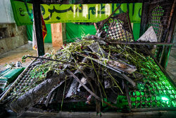 شیرازی: حکم محاربان حوادث اخیر با سرعت و در ملاءعام انجام شود