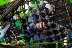 آثار هتک حرمت اغتشاشگران به امامزاده سبزقبا