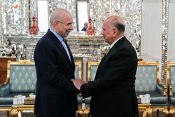 Iraq FM’s meeting with Iranian parl. speaker in Tehran