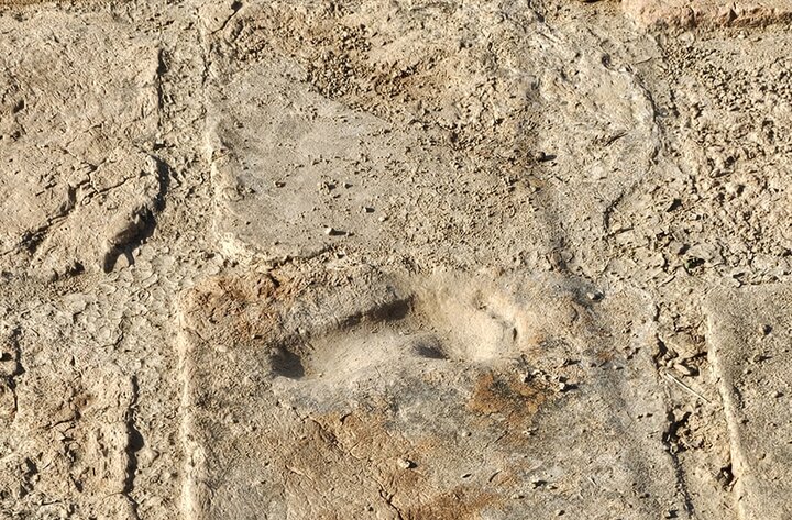 دعای نوشته شده عیلامیها در چغازنبیل