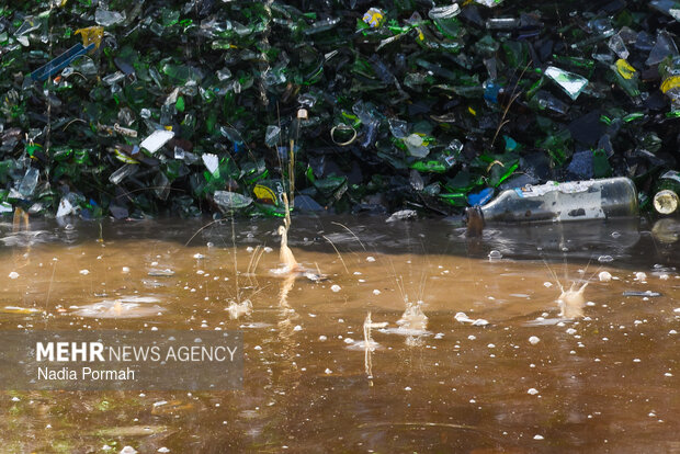 تولید ملی در صنایع شیشه و گاز