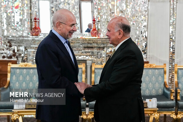 Iraq FM’s meeting with Iranian Parl. Speaker in Tehran
