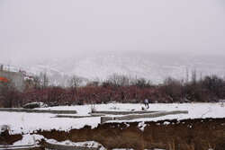 برف و باران در راه مازندران