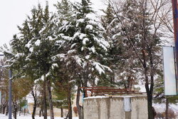 دمای هوای همدان به منفی ۱۵ درجه می‌رسد