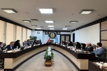 نعیمی: دامنه تغییرات ارز باید محدود باشد