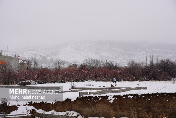 Snowfall blankets Dena town
