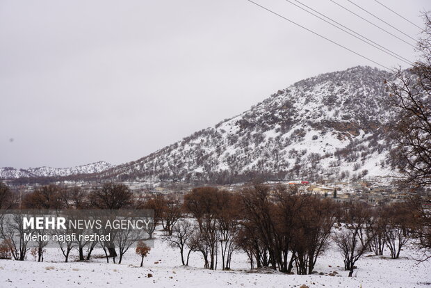 Snowfall blankets Dena town
