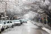 بارش باران و برف در کشور؛ هشدار سازمان هواشناسی برای چند استان