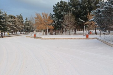 بارش برف در تبریز