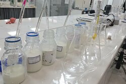 طرح ملی پایش شیر خام در استان بوشهر پایان یافت