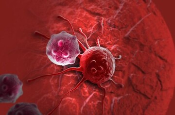 ۷۰۰۰ نفر از زنان دشتی از نظر سرطان غربالگری شدند